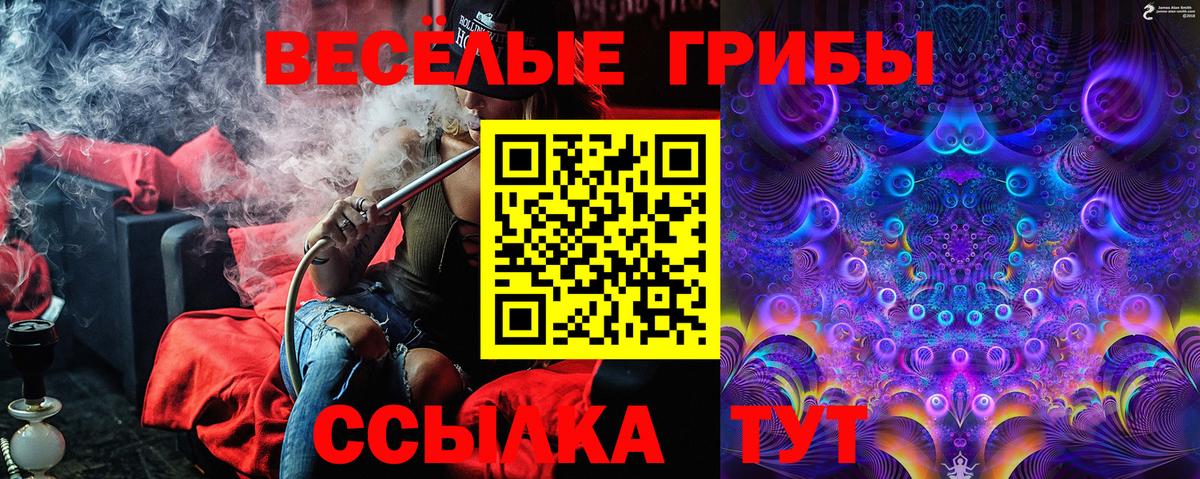 Галлюциногенные грибы Psilocybine cubensis  Вход с VPN  Воркута 
