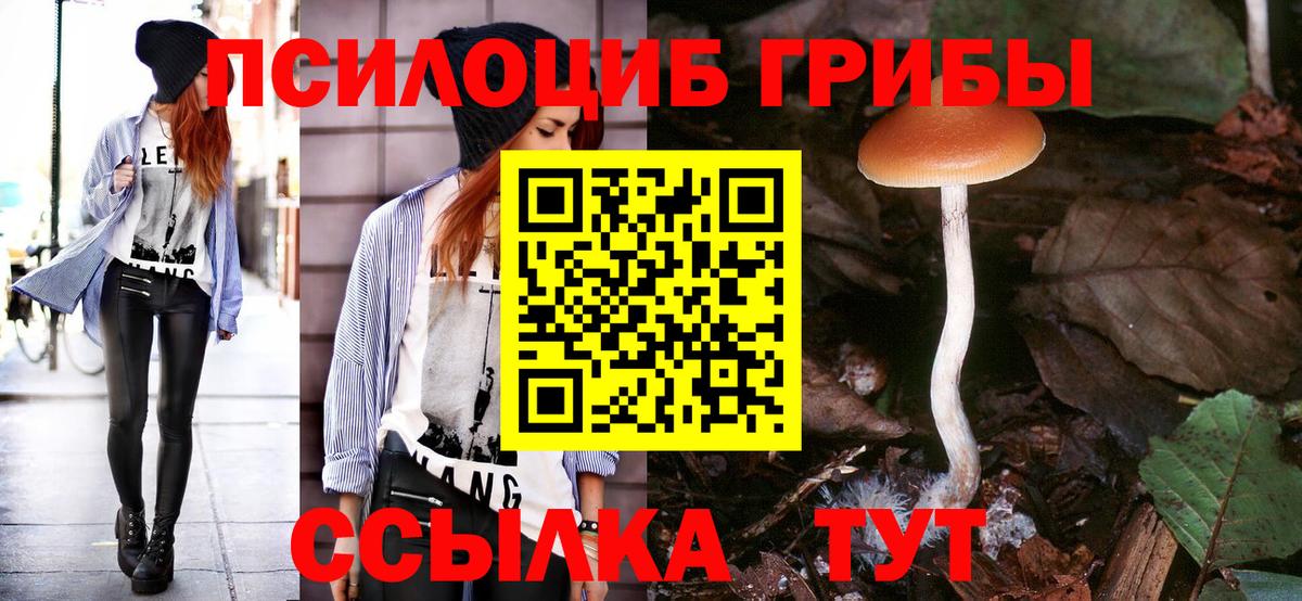 Псилоцибиновые грибы Psilocybe  Псилоцибиновые грибы мицелий  наркота  Воркута 