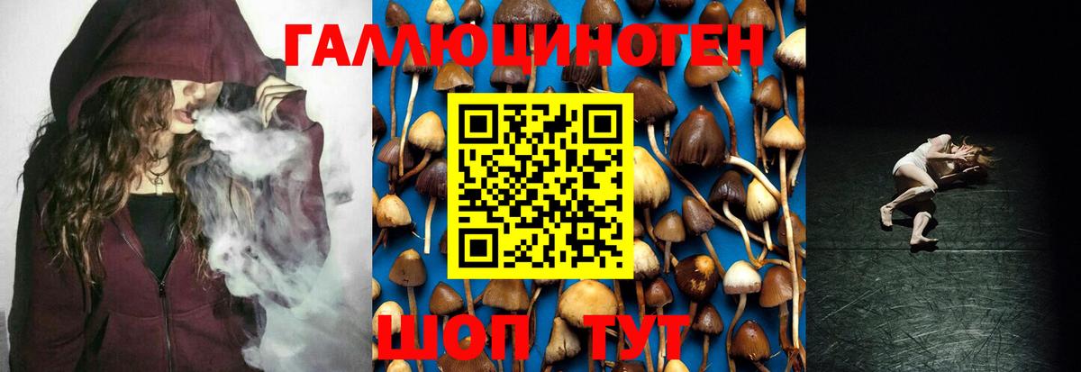 Псилоцибиновые грибы Psilocybe Воркута